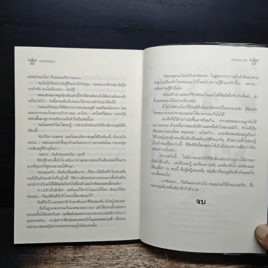 เงาซ่อนเงา - ปลายตะวัน รูปที่ 8