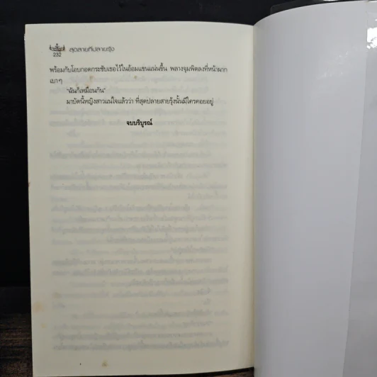 สุดสายที่ปลายรุ้ง - คิงเพนกวิน รูปที่ 8