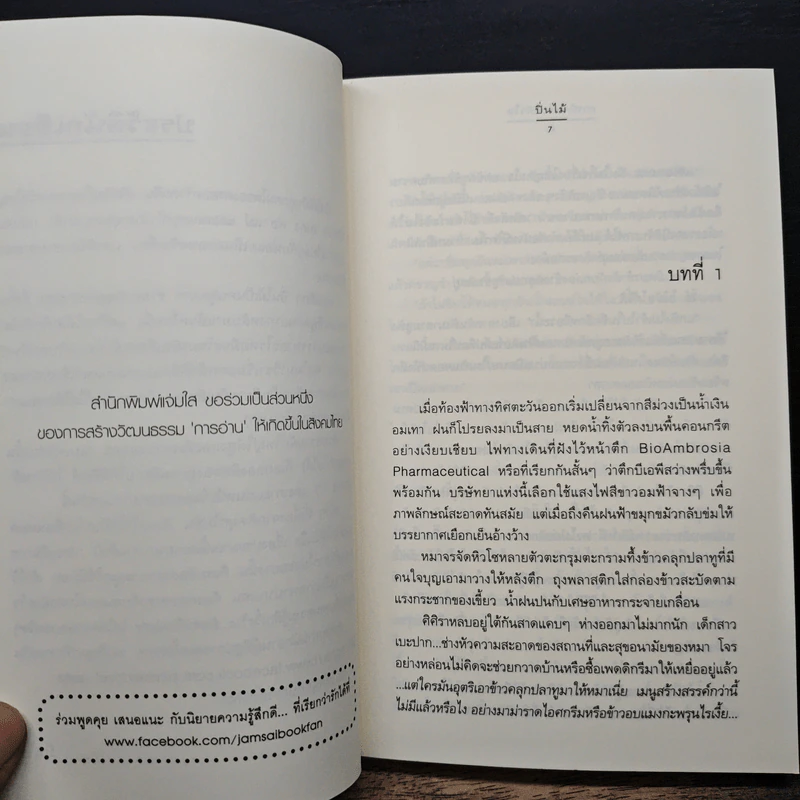 ภารกิจขโมยหัวใจ - ปิ่นไม้ รูปที่ 7