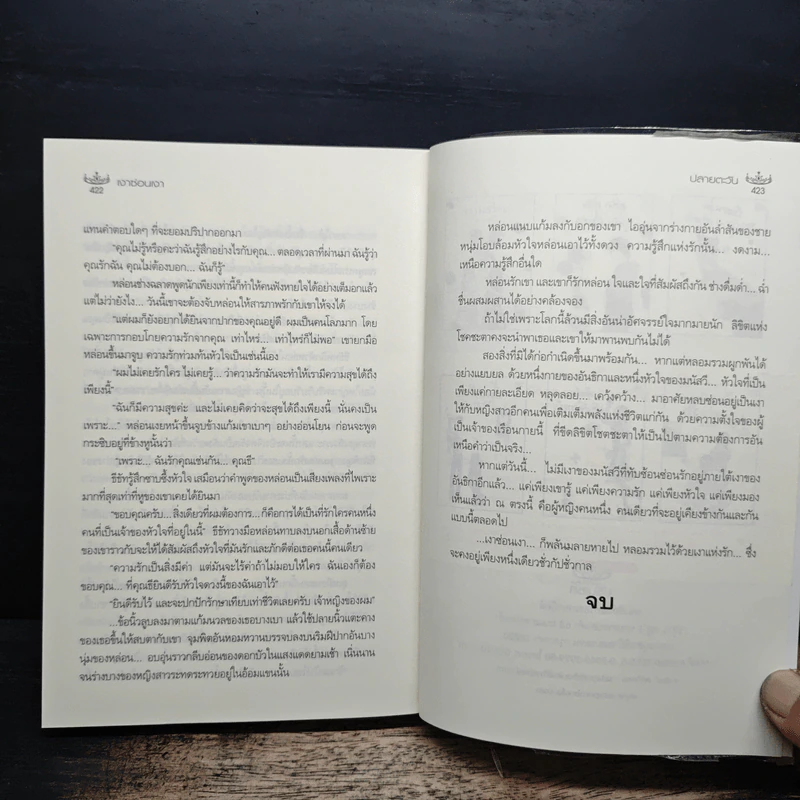เงาซ่อนเงา - ปลายตะวัน รูปที่ 8