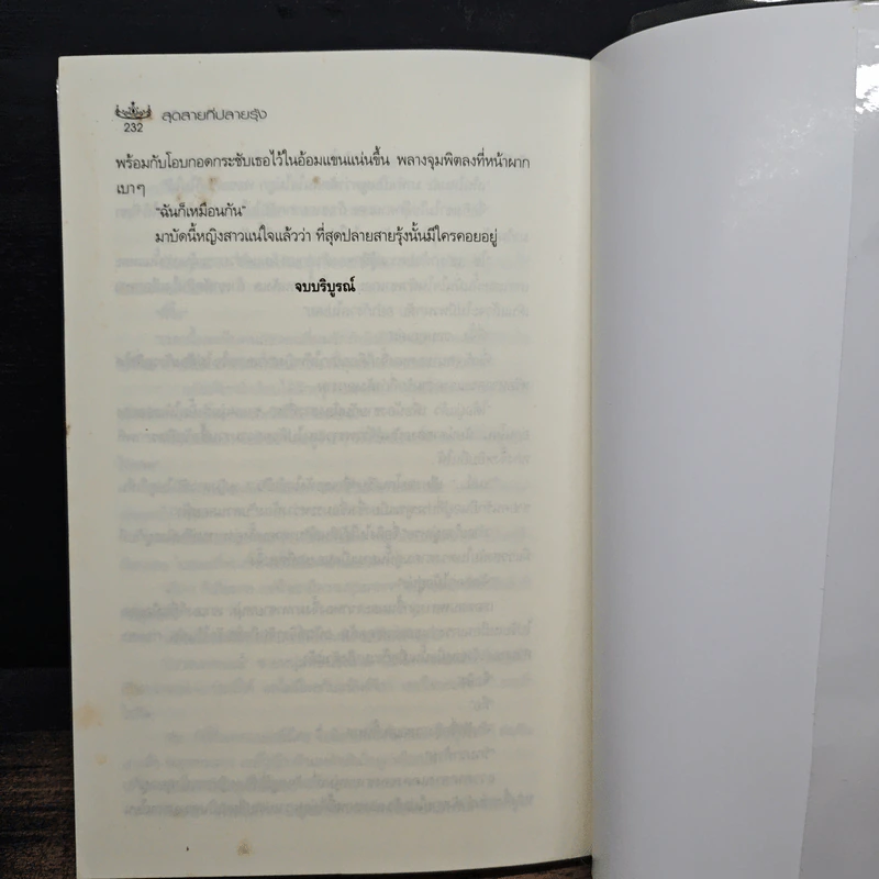 สุดสายที่ปลายรุ้ง - คิงเพนกวิน รูปที่ 8