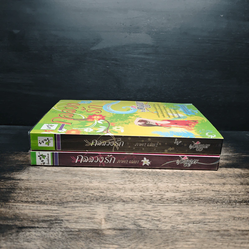 กลลวงรัก ภาค 2 เล่ม 1-2 - Bigger รูปที่ 3
