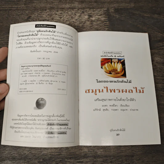 คู่มือคนรักต้นไม้ สมุนไพรผลไม้ - อฤชร พงษ์ไสว รูปที่ 6
