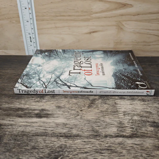 Tragedy of Lost โศกนาฏกรรมองค์กรหลงทิศ - สุธี ปิงสุทธิวงศ์, สุรีพันธุ์ เสนานุช รูปที่ 2