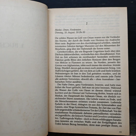 Der Ikarus-Plan - Robert Ludlum รูปที่ 7
