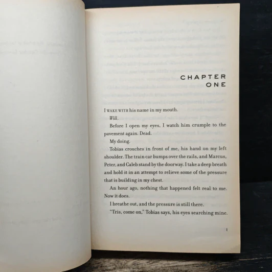 Insurgent - Veronica Roth รูปที่ 7