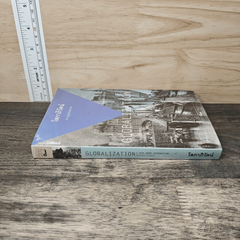 โลกาภิวัตน์ : ความรู้ฉบับพกพา - Manfred Steger (แมนเฟร็ด สเตเกอร์) รูปที่ 2