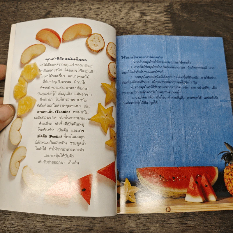 คู่มือคนรักต้นไม้ สมุนไพรผลไม้ - อฤชร พงษ์ไสว รูปที่ 7