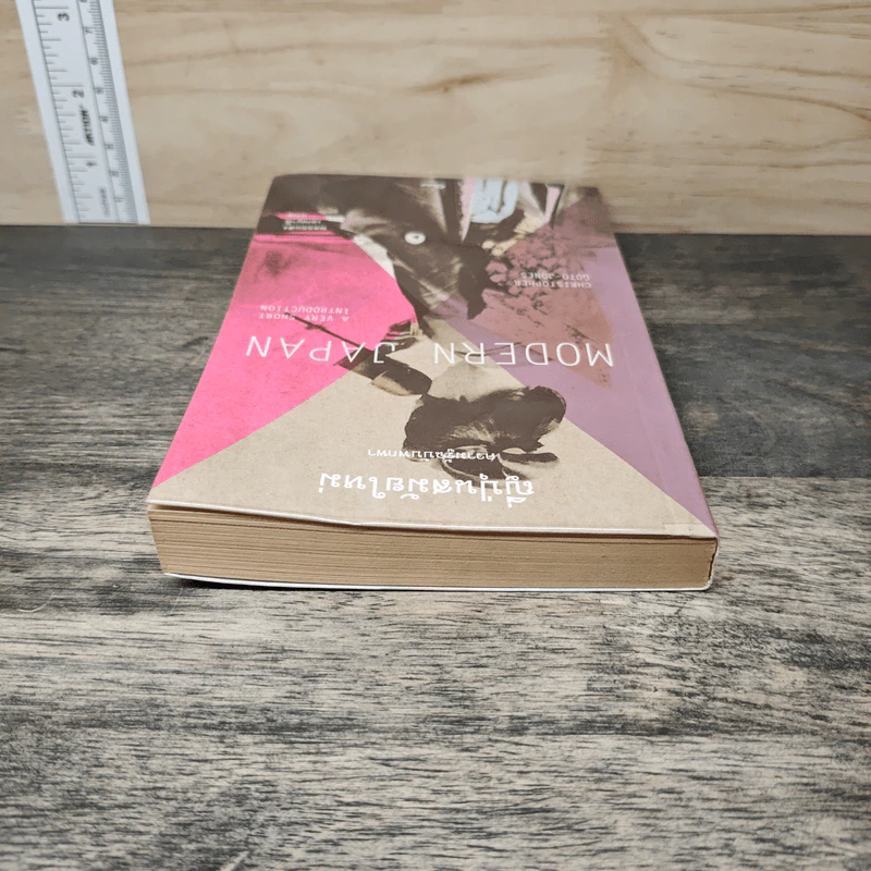 Modern Japan ญี่ปุ่นสมัยใหม่: ความรู้ฉบับพกพา - Christopher Goto-Jones รูปที่ 4