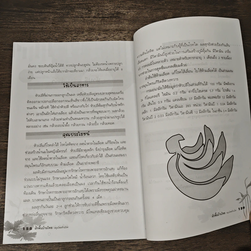 ผักพื้นบ้านไทย สมุนไพรต้านโรค - ชิดชนก รูปที่ 10