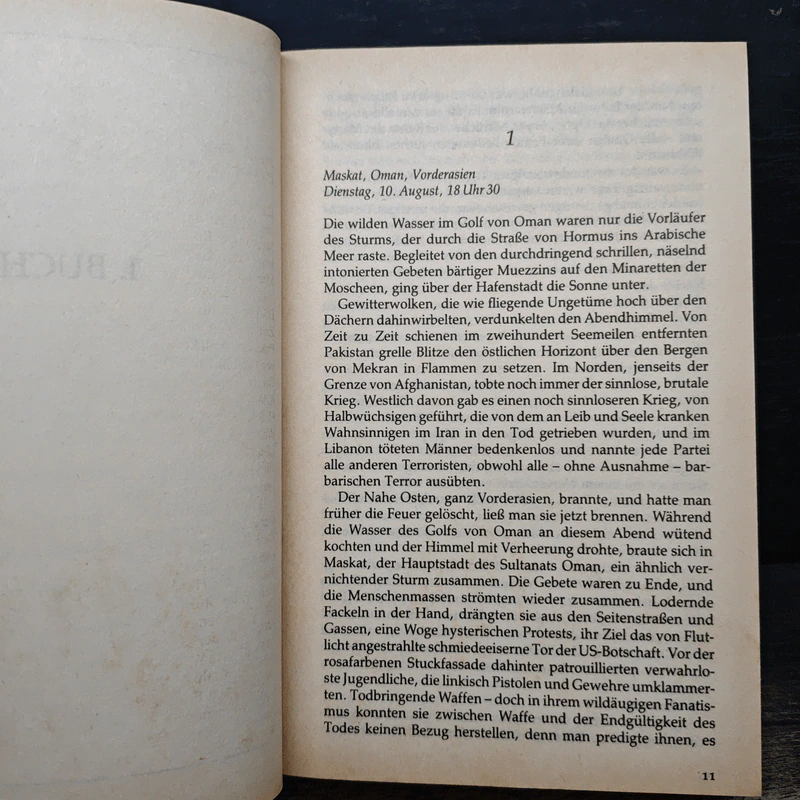 Der Ikarus-Plan - Robert Ludlum รูปที่ 7