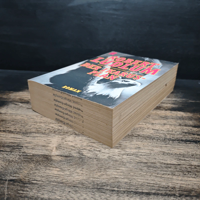 Der Ikarus-Plan - Robert Ludlum รูปที่ 4