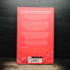 Siddhartha's Brain - James Kingsland รูปที่ 2