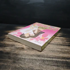 สะดุดรักกลางใจ - คล้ายโฉม รูปที่ 5