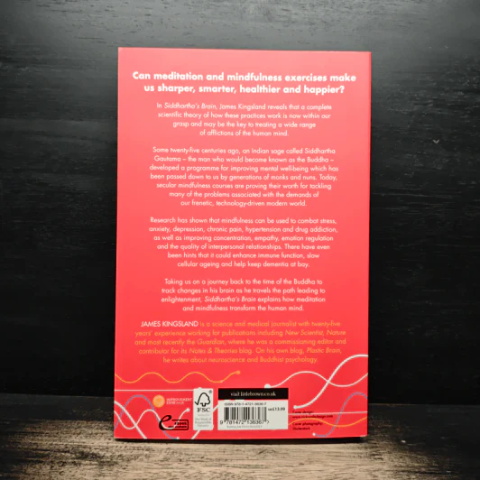 Siddhartha's Brain - James Kingsland รูปที่ 2
