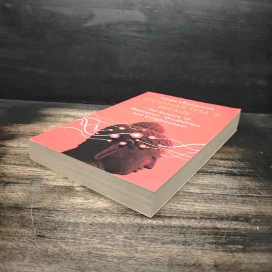 Siddhartha's Brain - James Kingsland รูปที่ 4