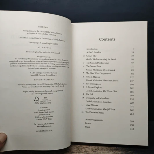 Siddhartha's Brain - James Kingsland รูปที่ 6