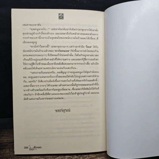 ม่านพรหม - เฟื่องนคร รูปที่ 8