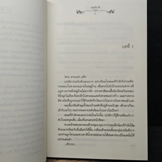 ผจญภัยในห้วงฝัน - อะมีราห์ รูปที่ 7