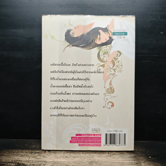 องศาร้อน พิศวาสหวาน - แพรตะวัน รูปที่ 2