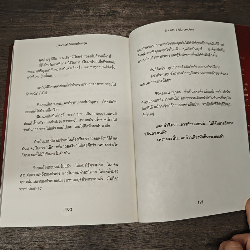 คิดอย่างไรให้ปัญหาเล็กลง - เฌอมาณย์ รัตนพงศ์ตระกูล รูปที่ 10