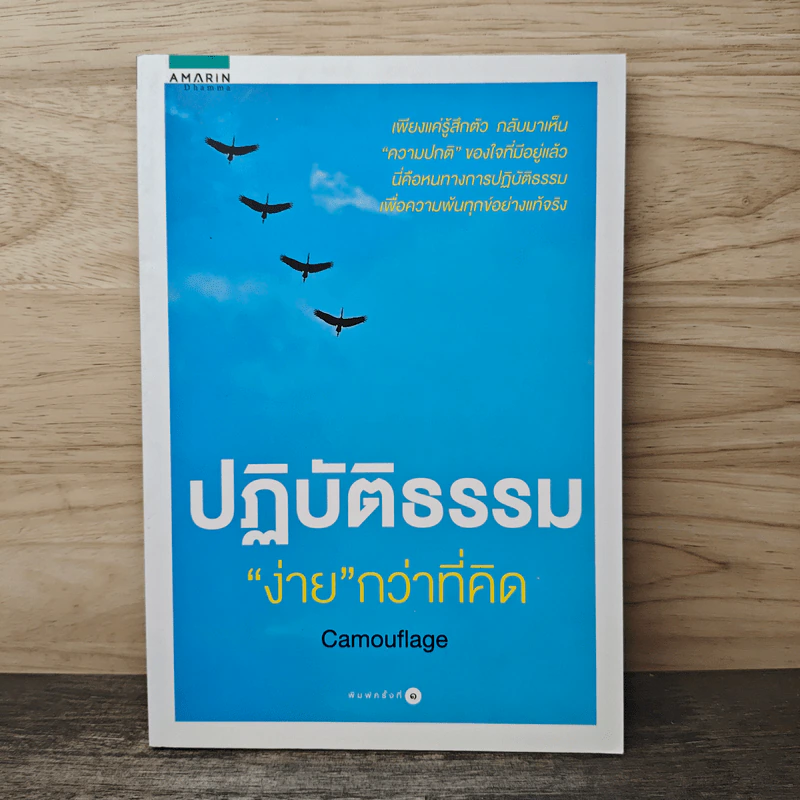 ปฏิบัติธรรมง่ายกว่าที่คิด - Camouflage รูปที่ 1