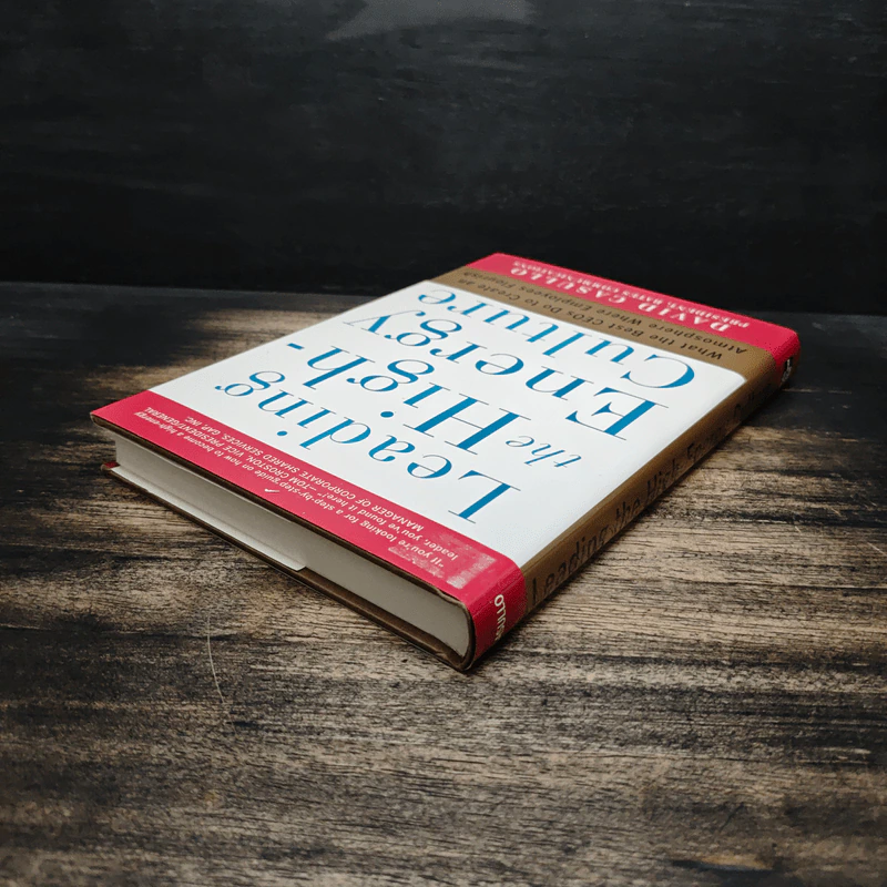 Leading the High-Energy Culture - David Casullo รูปที่ 5