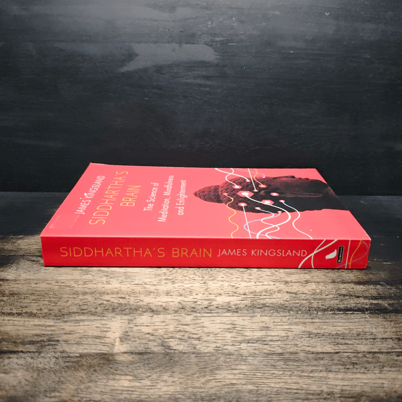 Siddhartha's Brain - James Kingsland รูปที่ 3