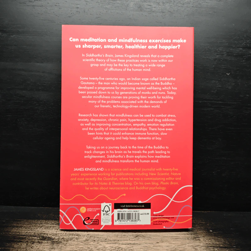 Siddhartha's Brain - James Kingsland รูปที่ 2