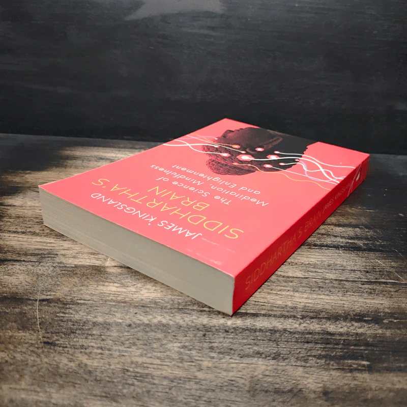 Siddhartha's Brain - James Kingsland รูปที่ 5