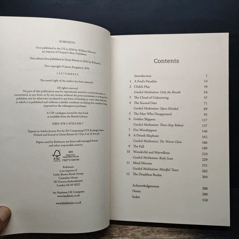 Siddhartha's Brain - James Kingsland รูปที่ 6