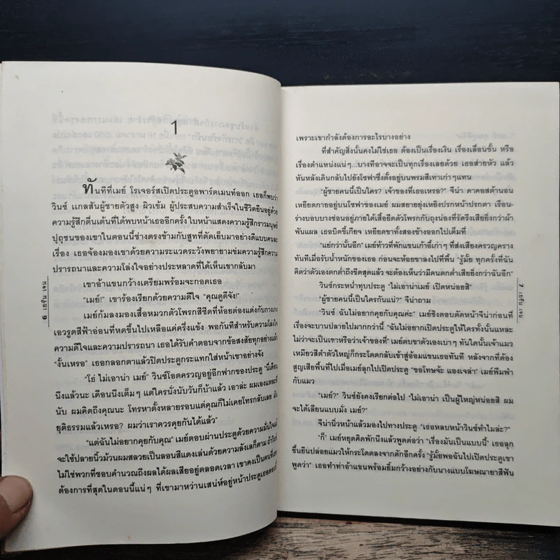 ทนายจอมเคี่ยว กับ สาวเฮี้ยวจอมป่วน - เอริน เจน รูปที่ 7