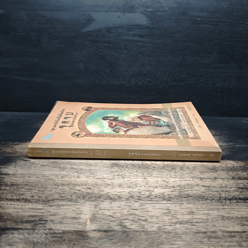 ชุดอยากให้เรื่องนี้ไม่มีโชคร้าย เล่ม 13 จุดจบ (แห่งความโชคร้าย) รูปที่ 3