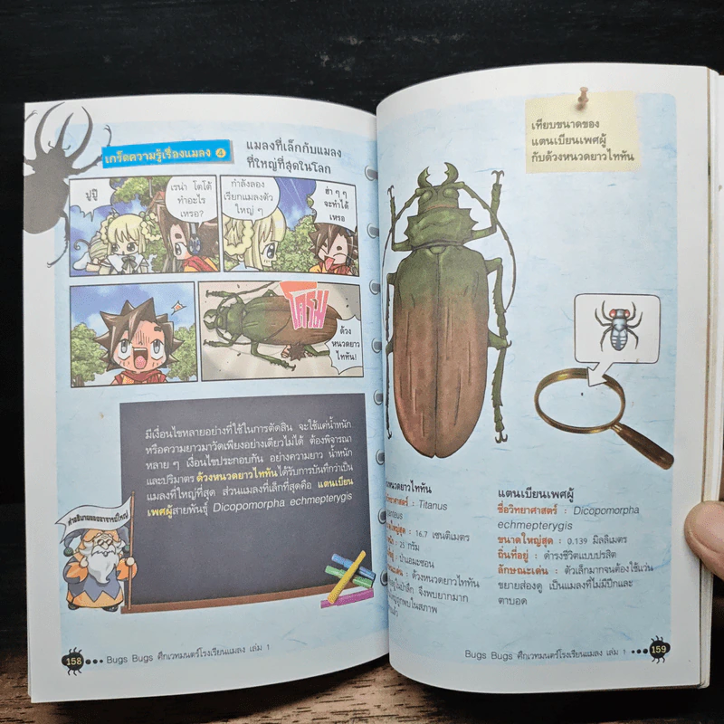 Bugs Bugs ศึกเวทมนตร์โรงเรียนแมลง เล่ม 1 รูปที่ 9