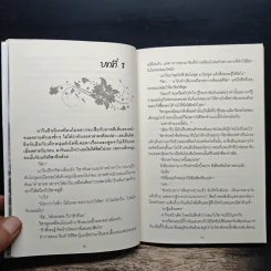 ฤทธิ์รักฤาสวาท - พจิรจิต รูปที่ 8