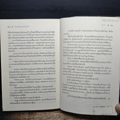 Rising Sun สายเลือดแดนตะวัน - ณารา รูปที่ 9