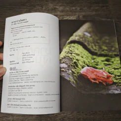 มากกว่าเงินตรา เล่ม 1 - ดร.มิชีตา จำปาเทศ รอดสุทธิ รูปที่ 6