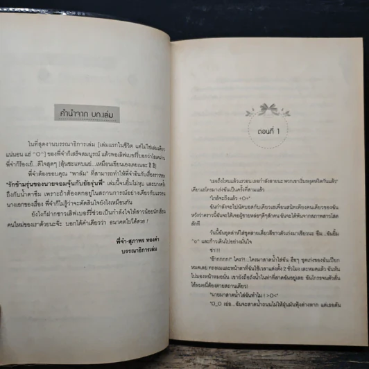 รักข้ามรุ่นของนายจอมจุ้นกับยัยรุ่นพี่ - พาลัม รูปที่ 7