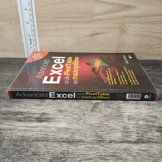 Advanced Excel เจาะลึก PivotTable และ การประยุกต์ใช้งาน - วิศัลย์ พัวรุ่งโรจน์ รูปที่ 2