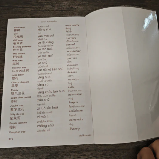 ศัพท์จีนกลางน่ารู้ใช้ในชีวิตประจำวัน รูปที่ 9