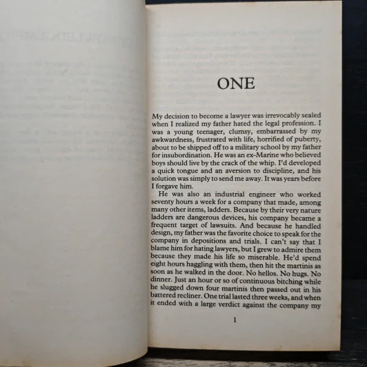 The Rainmaker - John Grisham รูปที่ 7
