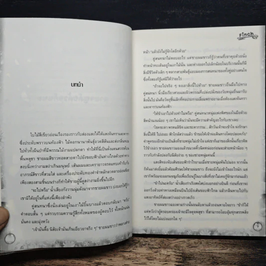 Life Arms ล่าสมบัติเทพสุดขอบโลก เล่ม 1 - Finch รูปที่ 7