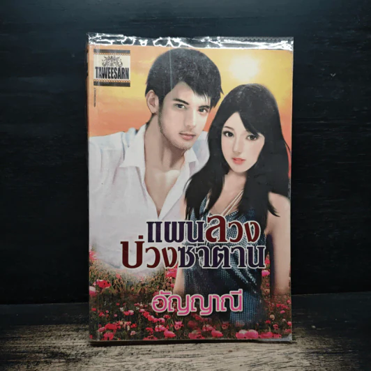 แผนลวงบ่วงซาตาน - อัญญาณี รูปที่ 1