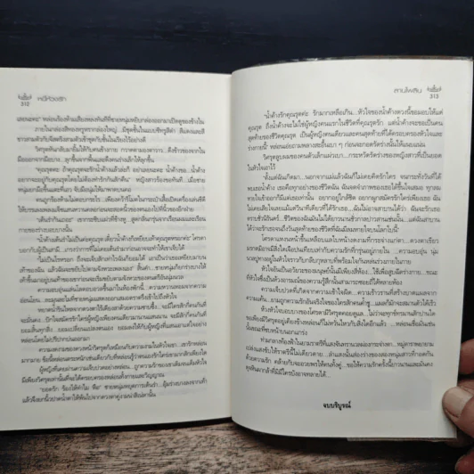 หนี้ห้วงรัก - ลานไพลิน รูปที่ 8