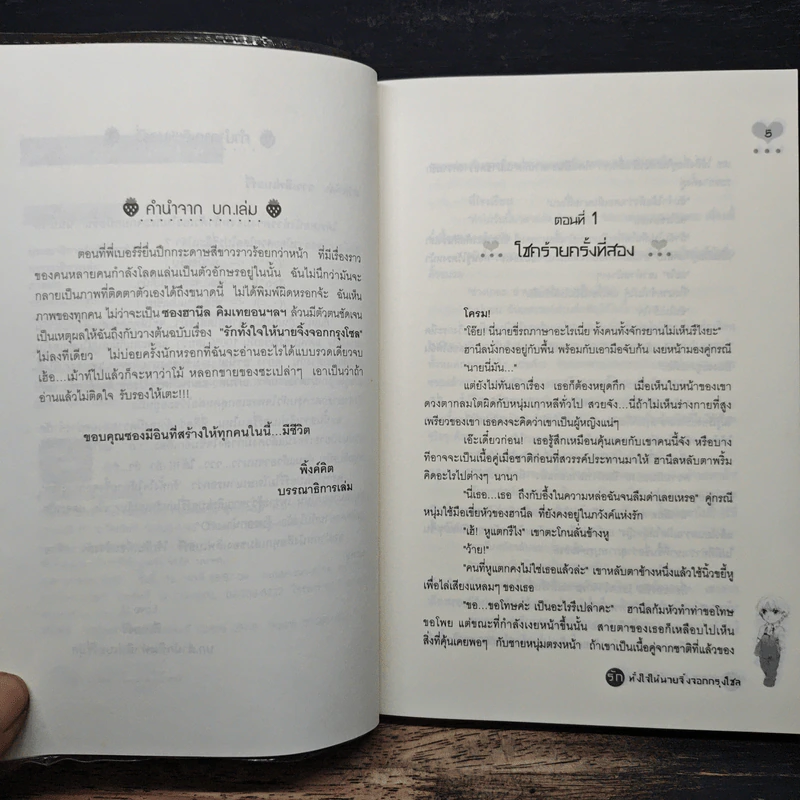 รักทั้งใจให้นายจิ้งจอกกรุงโซล - ซอง มีอิน รูปที่ 7