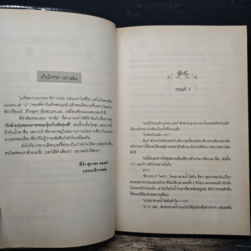 รักข้ามรุ่นของนายจอมจุ้นกับยัยรุ่นพี่ - พาลัม รูปที่ 7