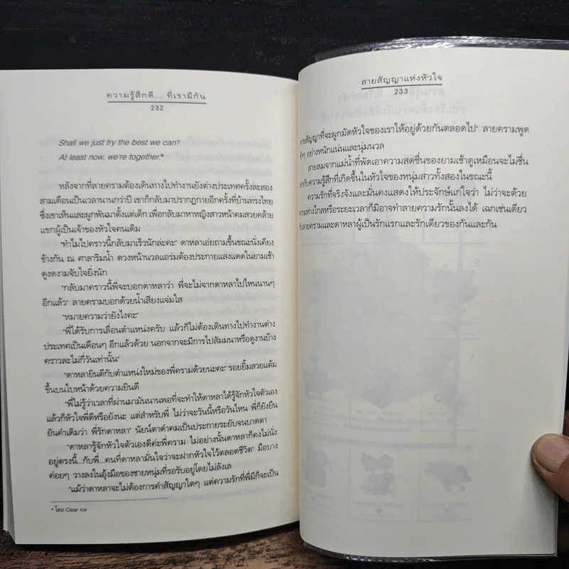 ความรู้สึกดี...ที่เรามีกัน รูปที่ 9