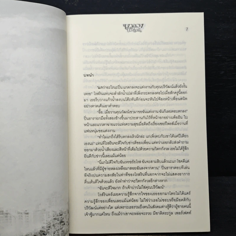 เงาลวงบ่วงราคี - ขวัญข้าว รูปที่ 7