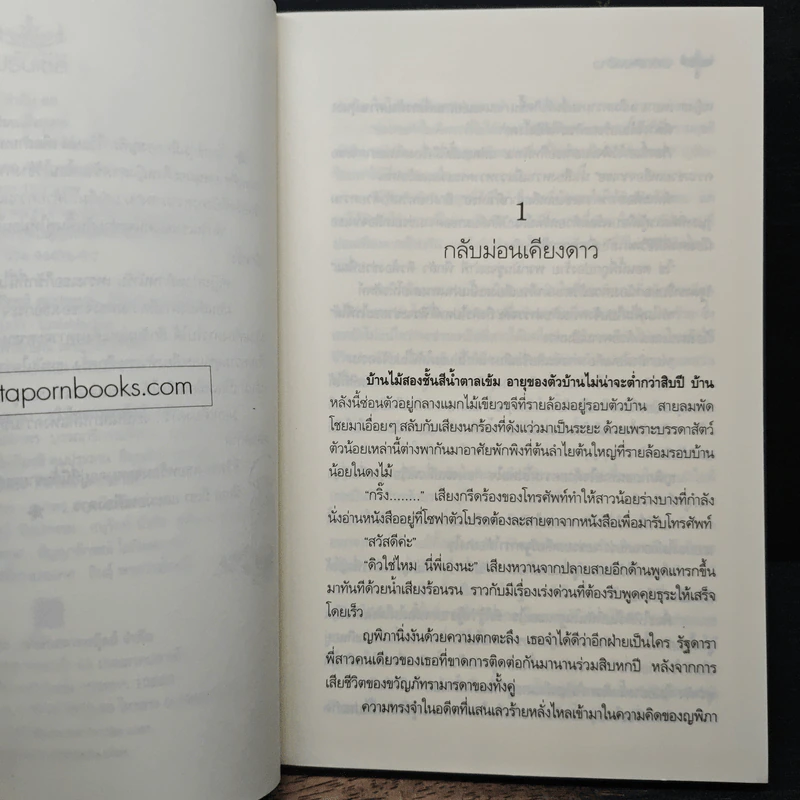 ม่อนเคียงดาว - รียา-อารียา รูปที่ 7