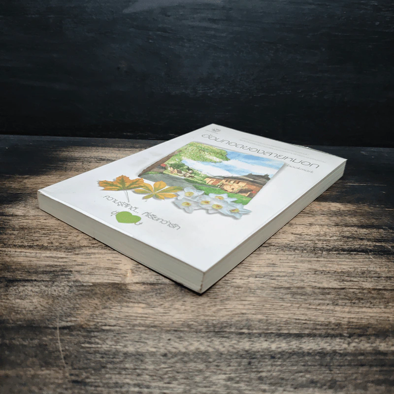 อ้อมกอดของสายหมอก - bookmark รูปที่ 4